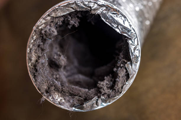 Best Affordable Air Duct Cleaning  in Marion, TX